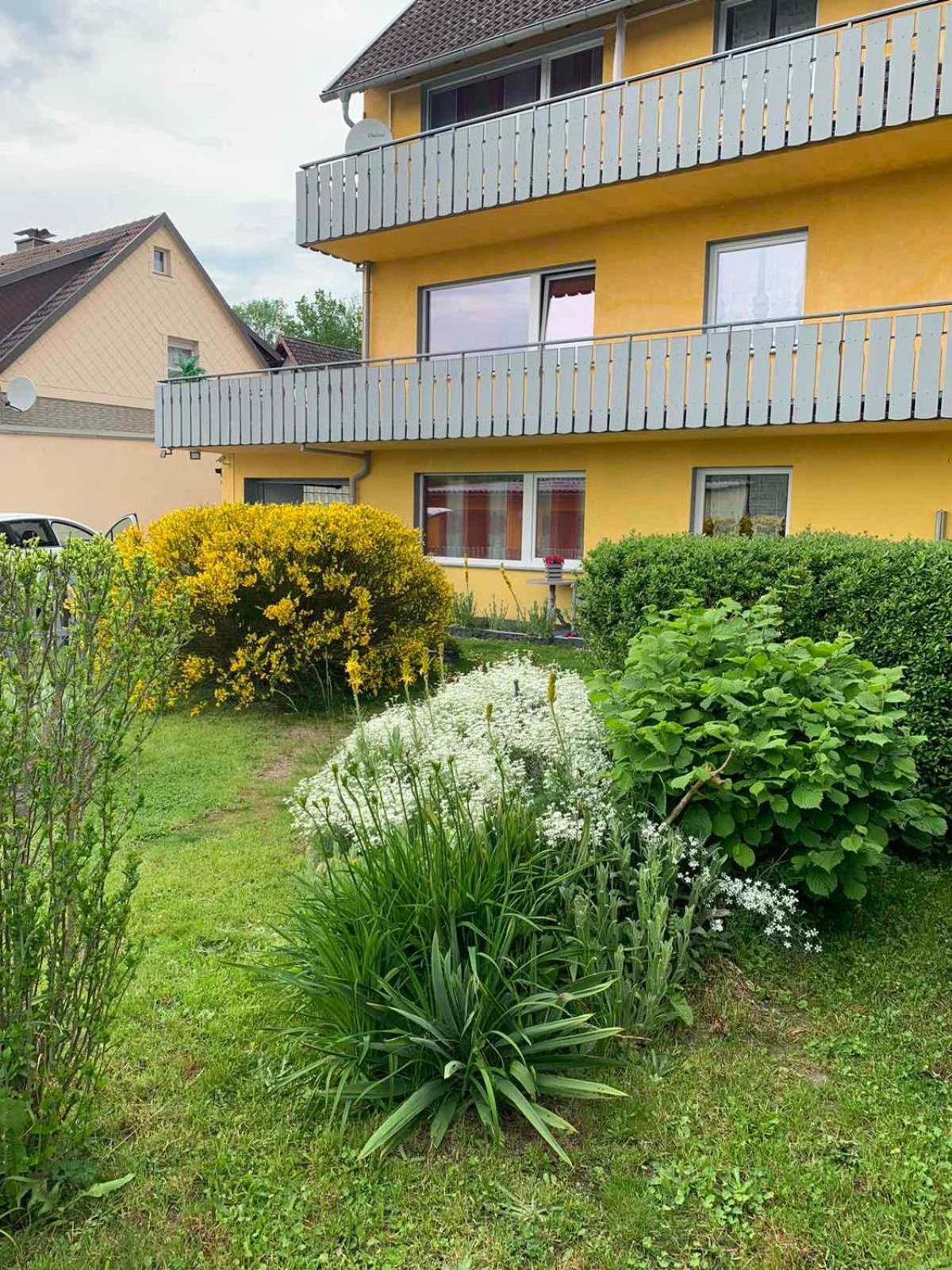 Ferienhaus Am Geiersberg Walkenried Exterior foto